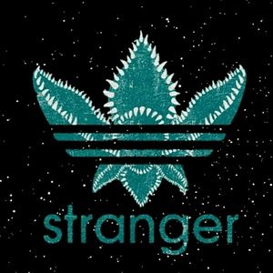 Meet your Posher, Kyley